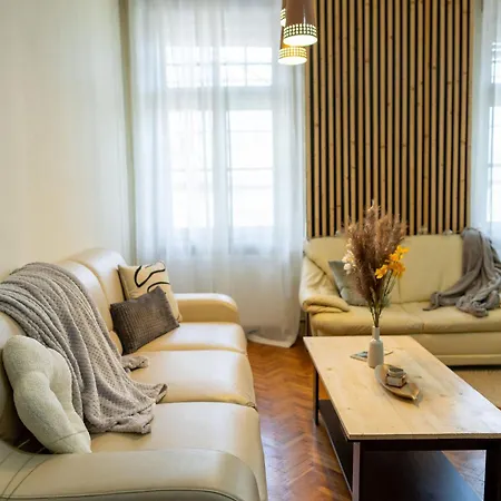 Central Timisoara Apartment Near Victory Square تيميشورا