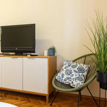 Central Timisoara Apartment Near Victory Square تيميشورا