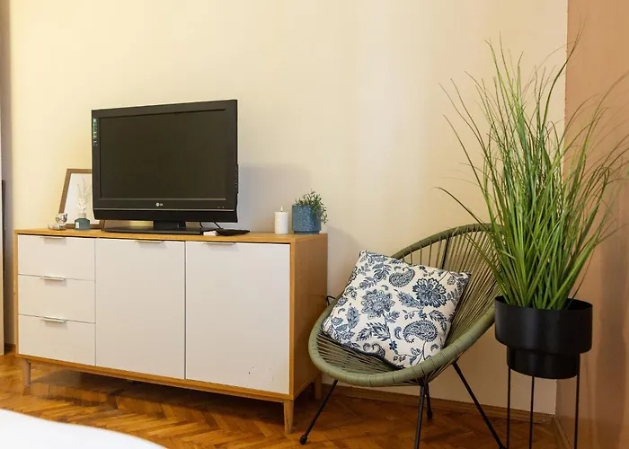 Designer With Views - Prime Location Timişoara